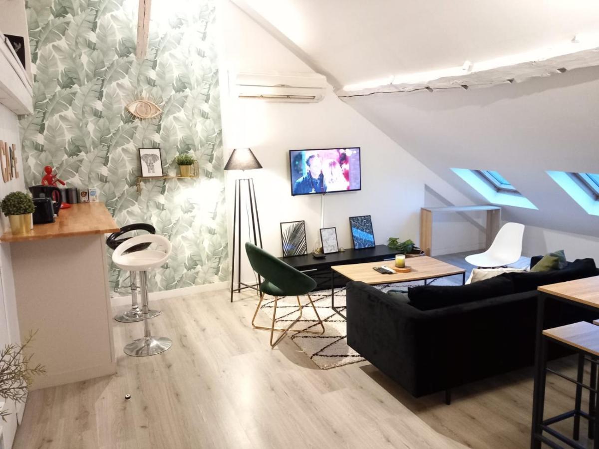 Magnifique Appartement En Hyper-Centre ! 普瓦捷 外观 照片